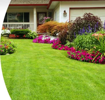 Trugreen Lawn Care Maintenance, Trugreen Landscaping